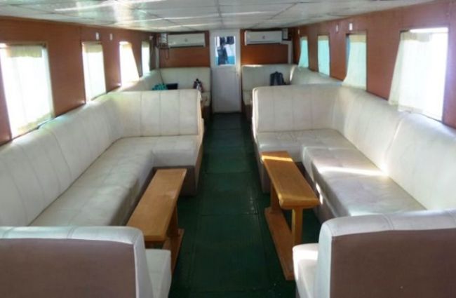 mgrg express 10